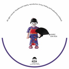 Ayarez & Don Vega - Las Flores (PLAYMOBIL224)