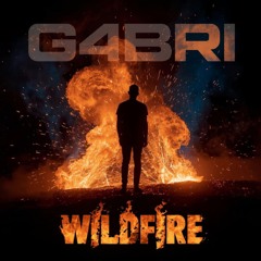 Wildfire [GREEN WIDOW RECORDS]