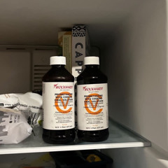 K9-celine dreams p. ssjlamar