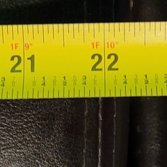 Jam Royal Jelly Ripped1