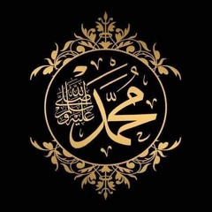 الارجوزة السنية في سيرة خير البرية-الشيخ الأمين موافقي