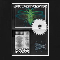 AVENAR - OESTRIDAE