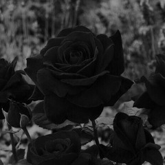Goodbye Roses