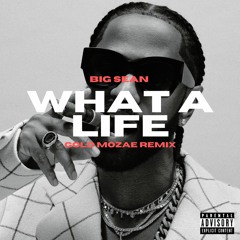 Big Sean - What A Life Big Sean - What A Life (Gold Mozae Remix)