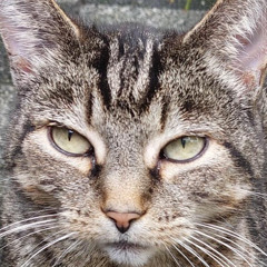 ATONAL liveset 2 Het Generatie Pact 31 januari 2025; Brebl Nijmegen