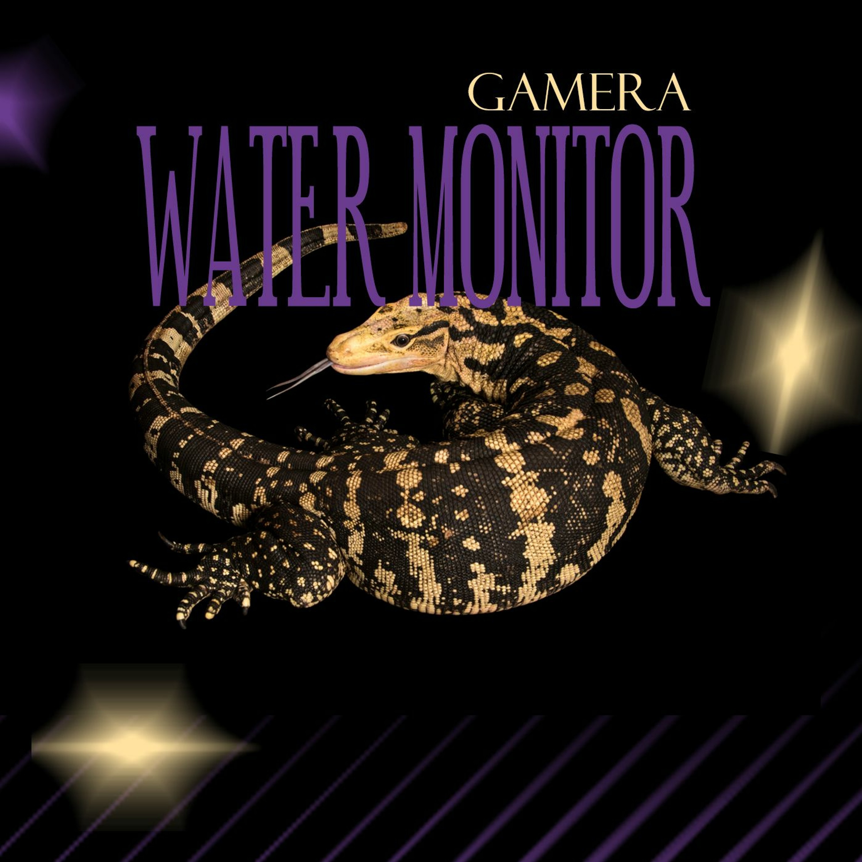 GAMERA aka GMRA