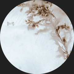 BDT 019 PREMIERE - Eafhm - Flora III (Original Mix) ST
