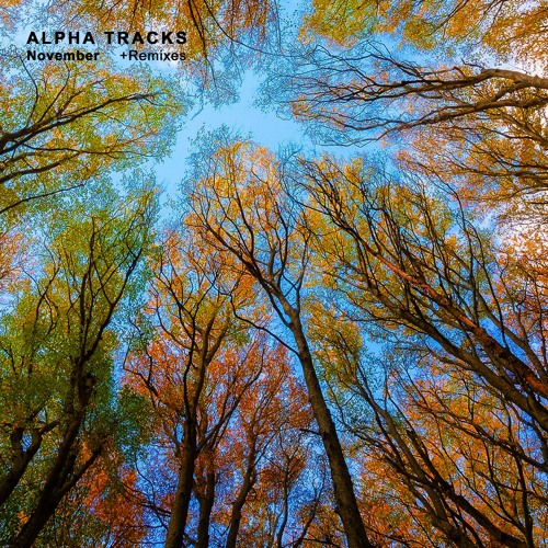 November (Elise Massoni Remix)