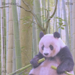 Bamboo