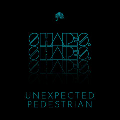 Shapes. Guest Mix 025 // Unexpected Pedestrian