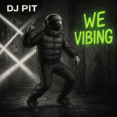 We Vibing