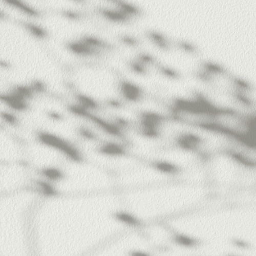 Flora   - untitled emotions and thoughts