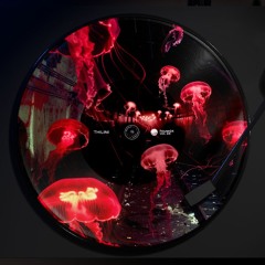 HOUSE '24 - VOL.24 | THILINI