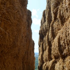 PaJe 2019 - Set 1 Clip