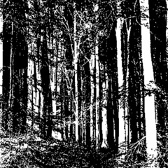 DUNKELHEIT (BURZUM COVER)