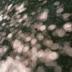 Your Hopeful Friends v1