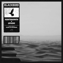 HunterSynth x Spooki - Black Bird
