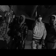 Mega G - ALL FACTZ