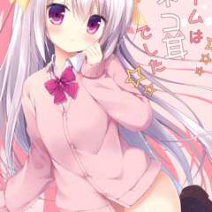 FL jarv pas (nightiger)