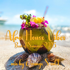 Afro House Vibes Best of Summer 2025 vol.1