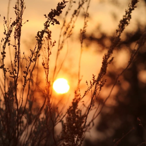 The Love Of The Truth