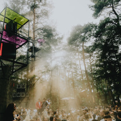 Lucky Done Gone @ Into the Woods Festival 2025