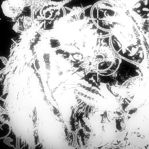 KILLER INSTINCT (feat.3liass.Squiri)