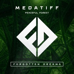 Medatiff - Peaceful Forest