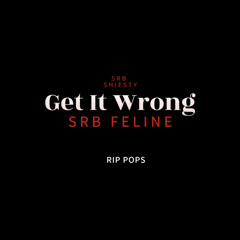 “Get It Wrong” - S.R.B Feline x S.R.B Shiesty (Prod By Gentle Beatz)
