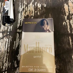 Transitory fantasies rough vox - 05.12.25, 23.19