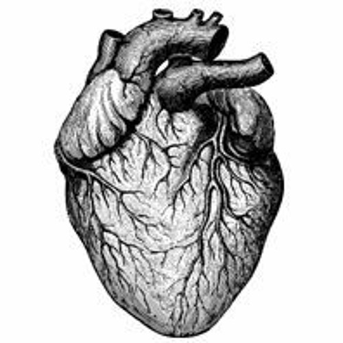 DIL - AVEC LE COEUR (Prod. PERSONNE X BOBBA A$H)