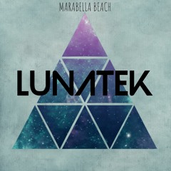 Goa Marbella Beach@Lunatek Party Feb 2020
