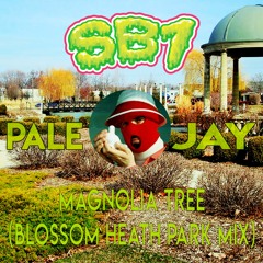 PALE JAY X SB1 - Magnolia Tree (Blossom Heath Park Mix)