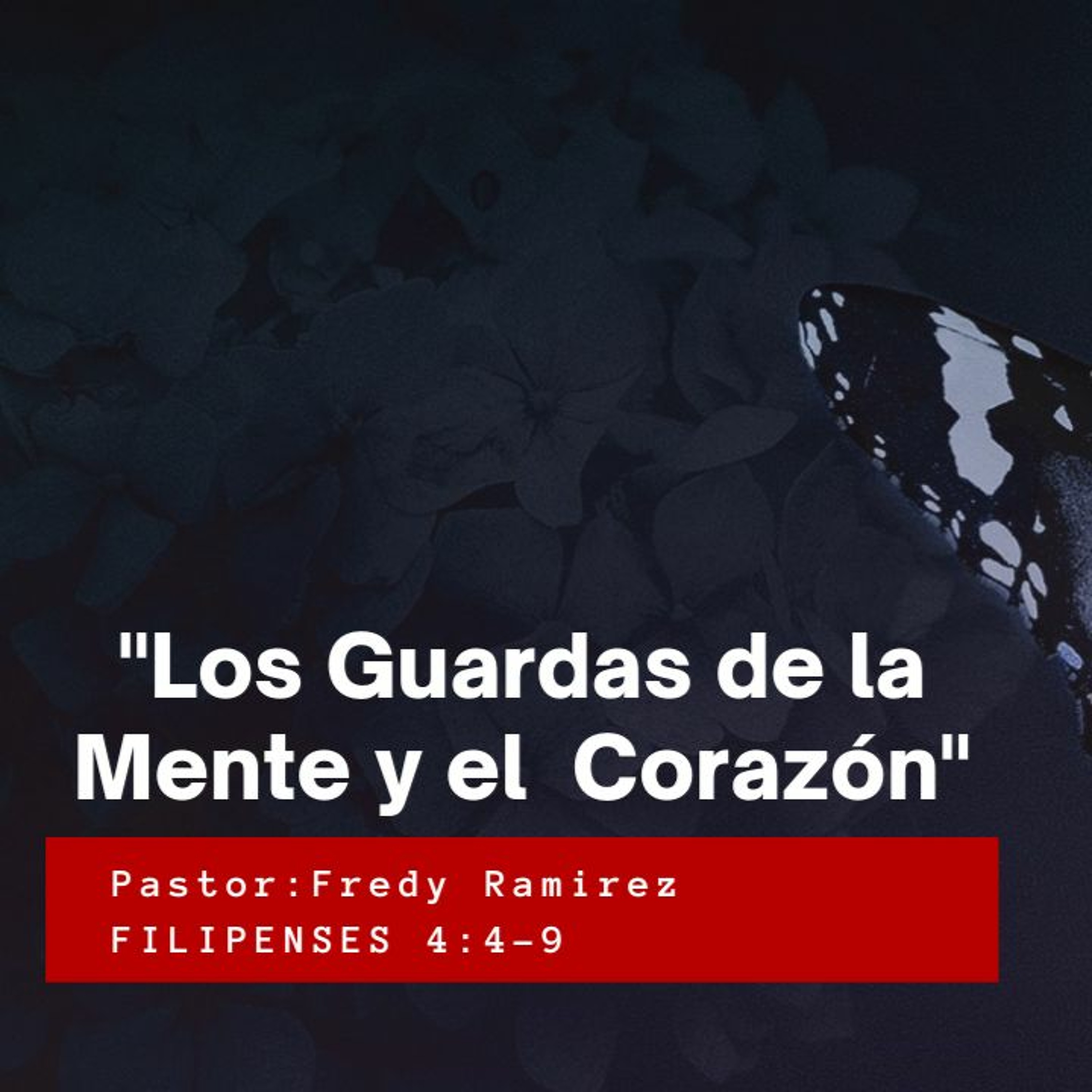 Iglesia Cristiana Biblica Raah