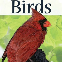 ❤ PDF Read Online ❤ Birds of the Midwest (Nature's Wild Cards) free