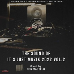 THE SOUND OF IT'S JUST MUZIK 2022 Vol.2 mixed by DEN MARTELO