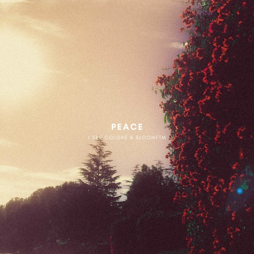 I See Colors & Bloomftm - Peace