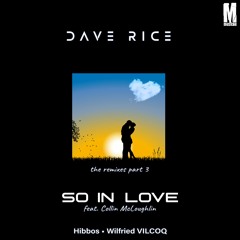 Dave Rice Feat. Collin McLoughlin - So In Love (HIBBOS Remix)