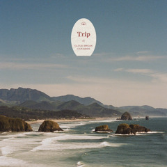 Trip (ft. Carabide)