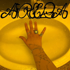 AFREEDA CORE X XHENISA VOL1