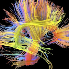 neuro