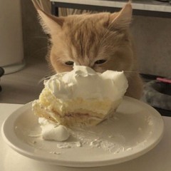 MARINA - BUTTERFLY (LOOP)