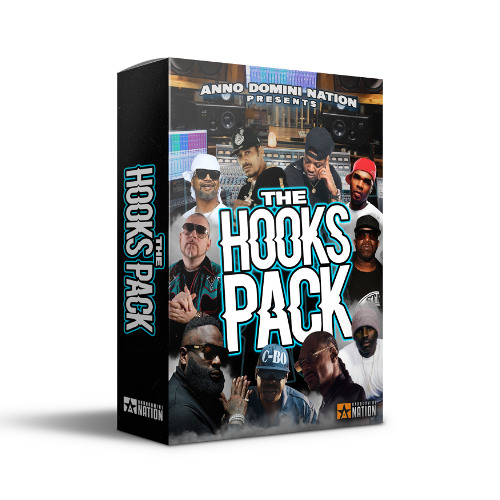 The Hooks Pack Demo (10 Premium Hooks + 10 Beats)