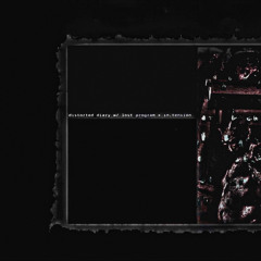 distorted diary w/ in.tension