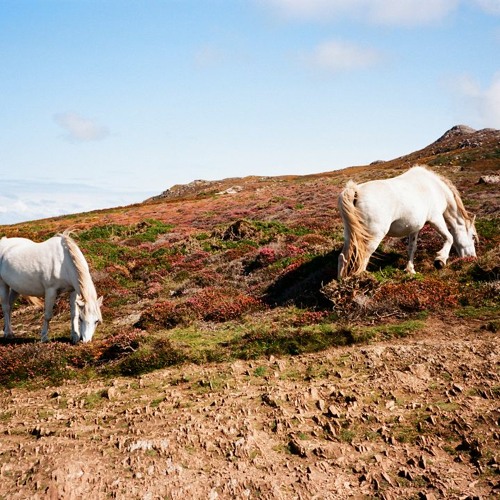 The Early Bird Show w/ Spirit Blue 041023