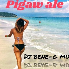 PIGA WALE-BENE-G MIX