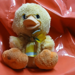 EXPECT NOTHING at Simini, 251217