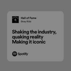 stray kids — hall of fame (8d)