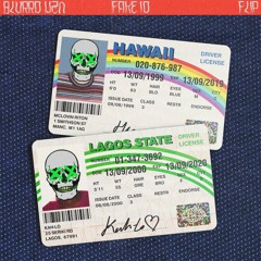 RITON & KAH-LO - FAKE ID (BLURRD VZN FLIP)