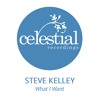 Steve Kelley - What I Want (Original Mix)